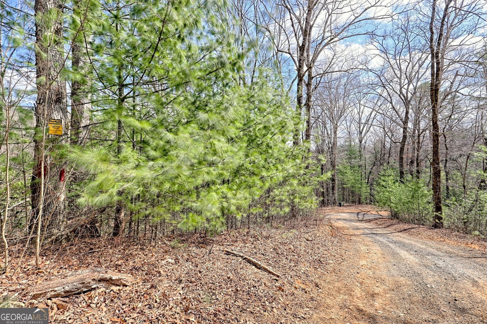1068 Coleman River Road Clayton - 69