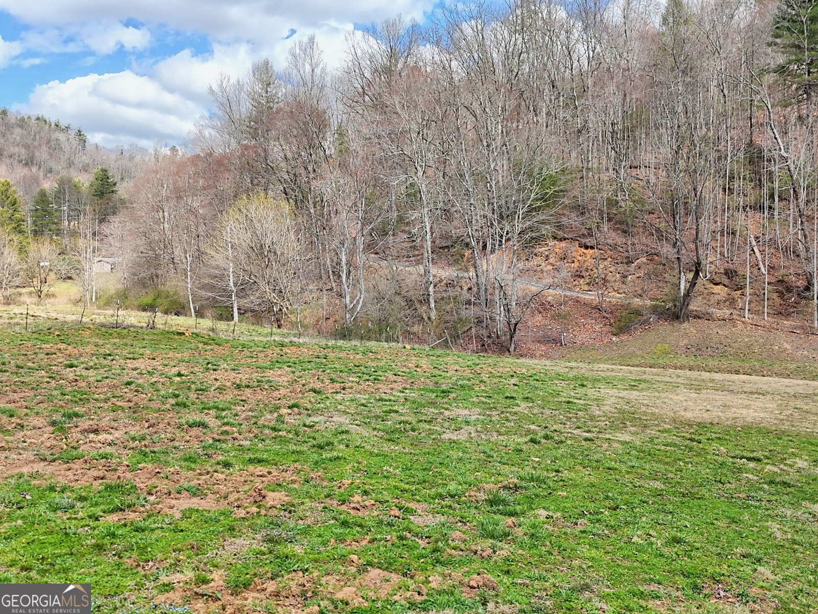 1068 Coleman River Road Clayton - 72