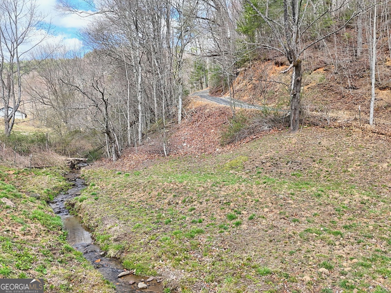 1068 Coleman River Road Clayton - 73