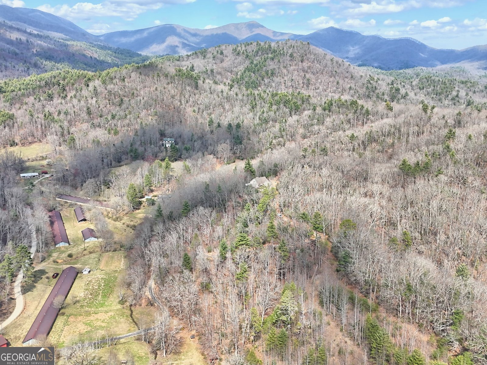 1068 Coleman River Road Clayton - 76