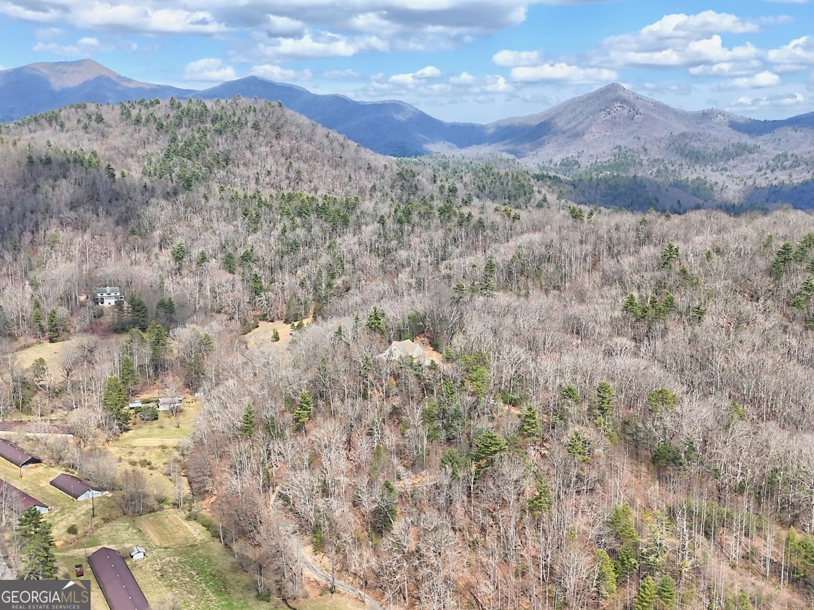 1068 Coleman River Road Clayton - 77