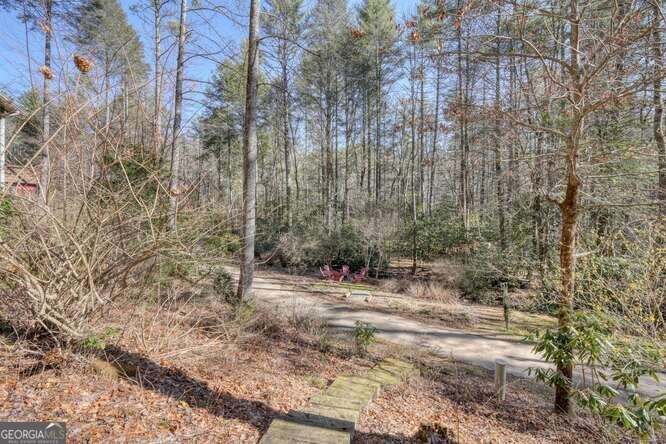 15 Salmon Road Blairsville - 35