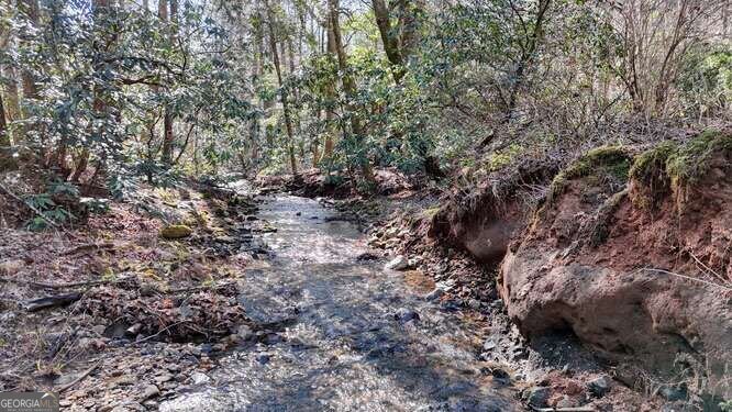 15 Salmon Road Blairsville - 37