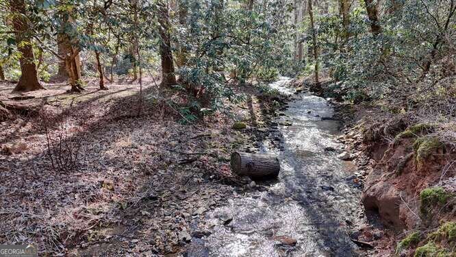 15 Salmon Road Blairsville - 51
