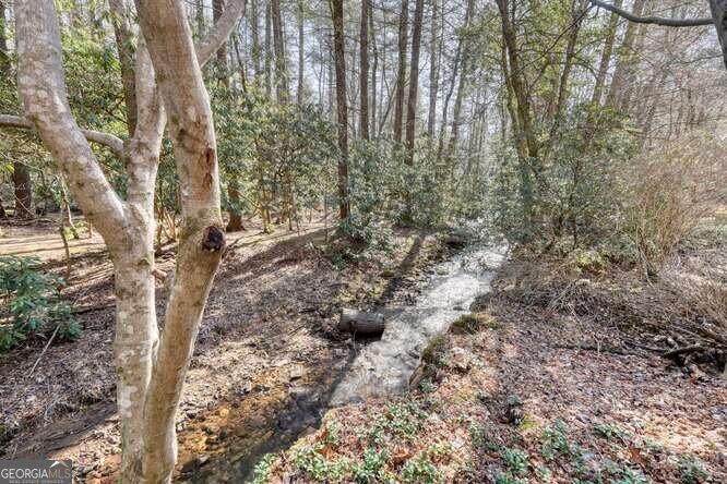 15 Salmon Road Blairsville - 52