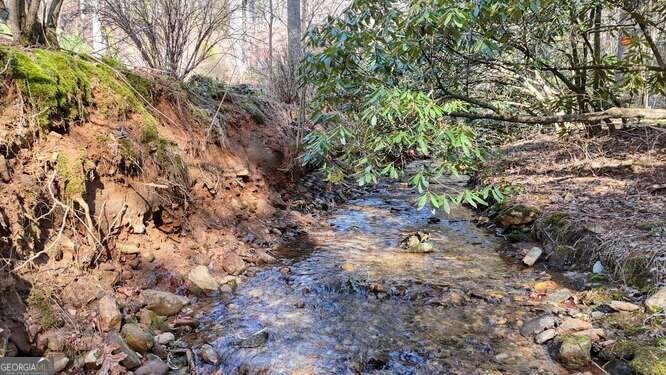 15 Salmon Road Blairsville - 53