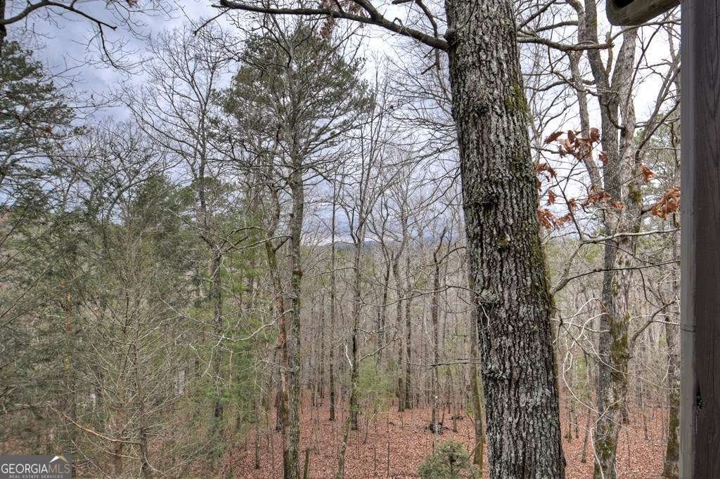160 Nickel Lane Ellijay - 29