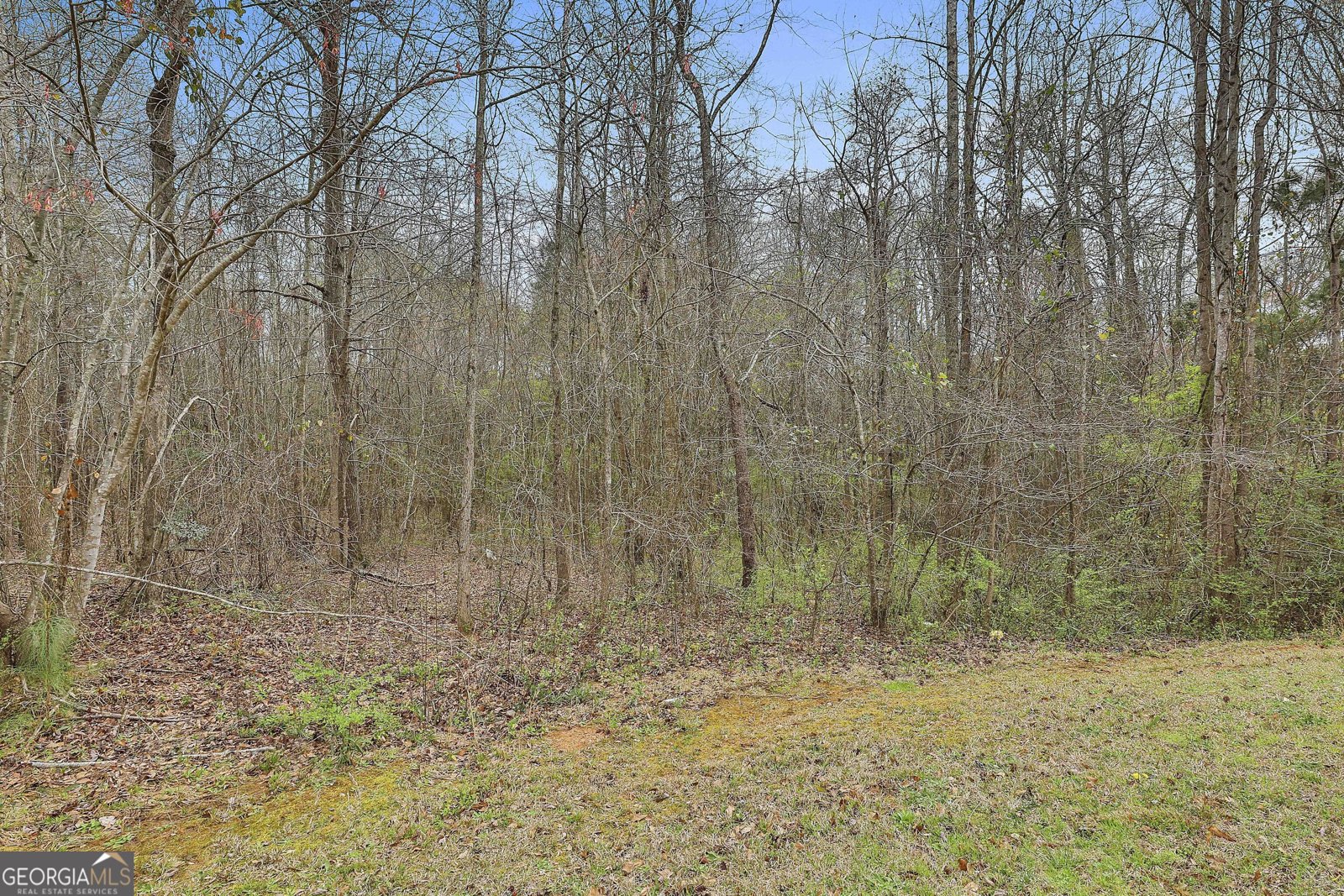 2359 Walkers Mill Road Griffin - 29