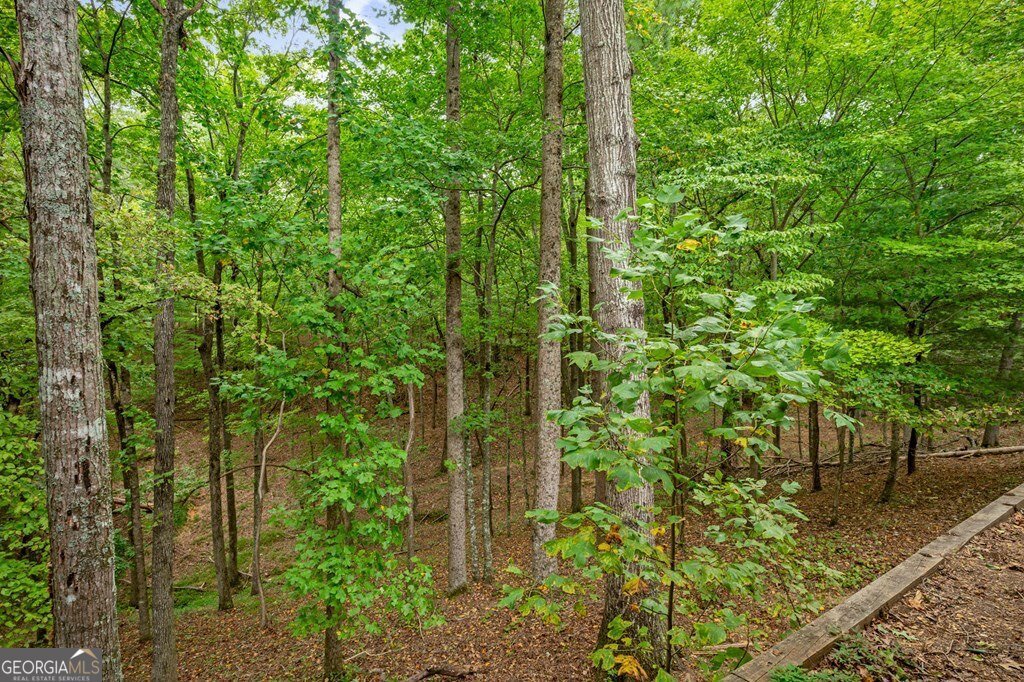 55 Rhododendron Lane Talking Rock - 71