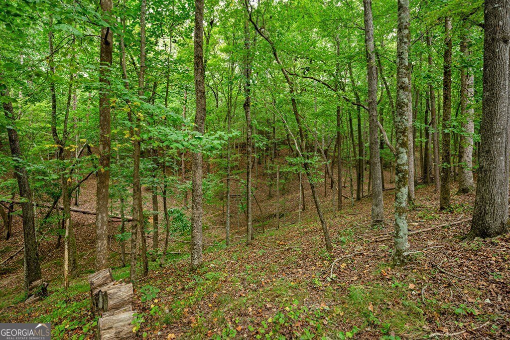 55 Rhododendron Lane Talking Rock - 73