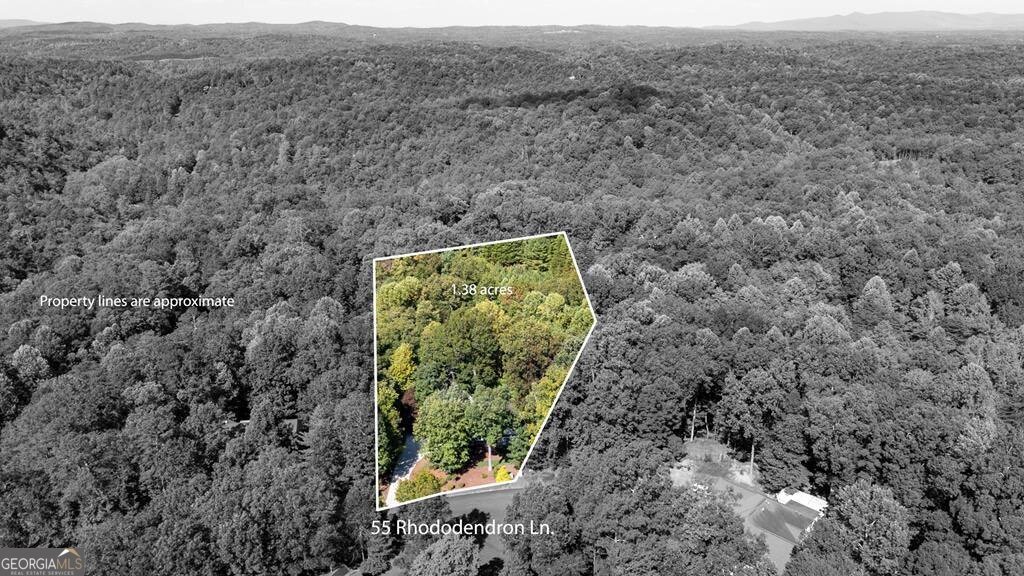 55 Rhododendron Lane Talking Rock - 74