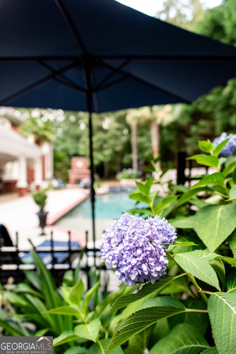 1021 Powell Court Athens - 28