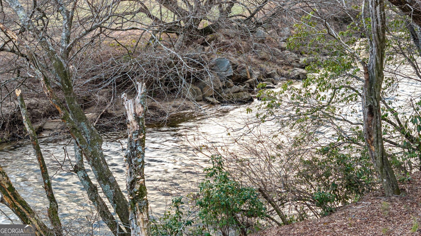 381 Trails End Blue Ridge - 55