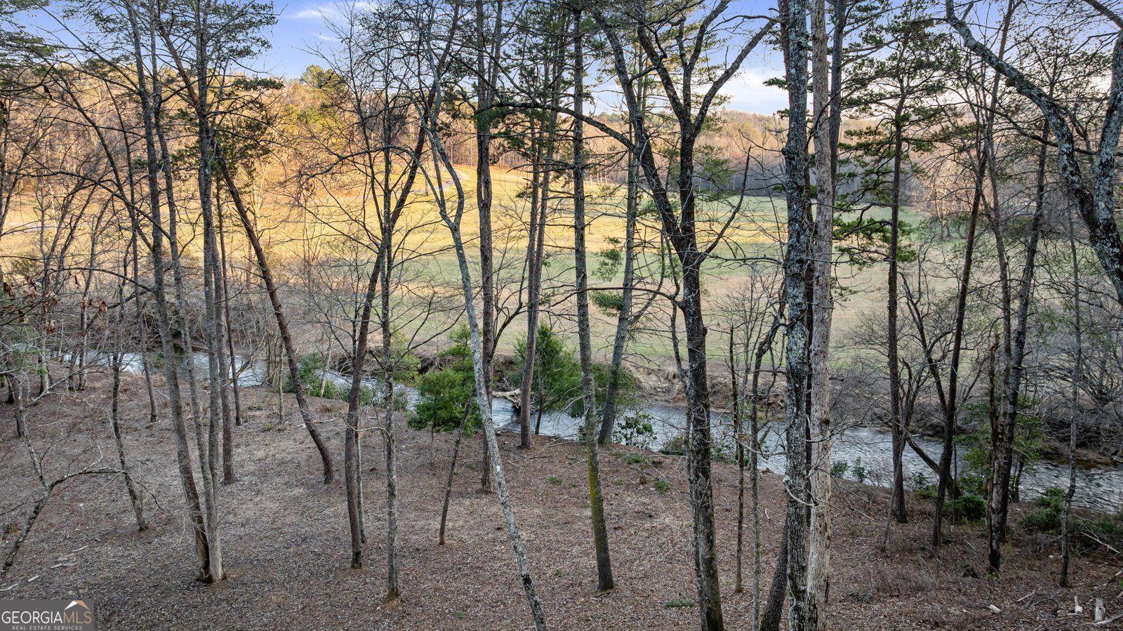 381 Trails End Blue Ridge - 67