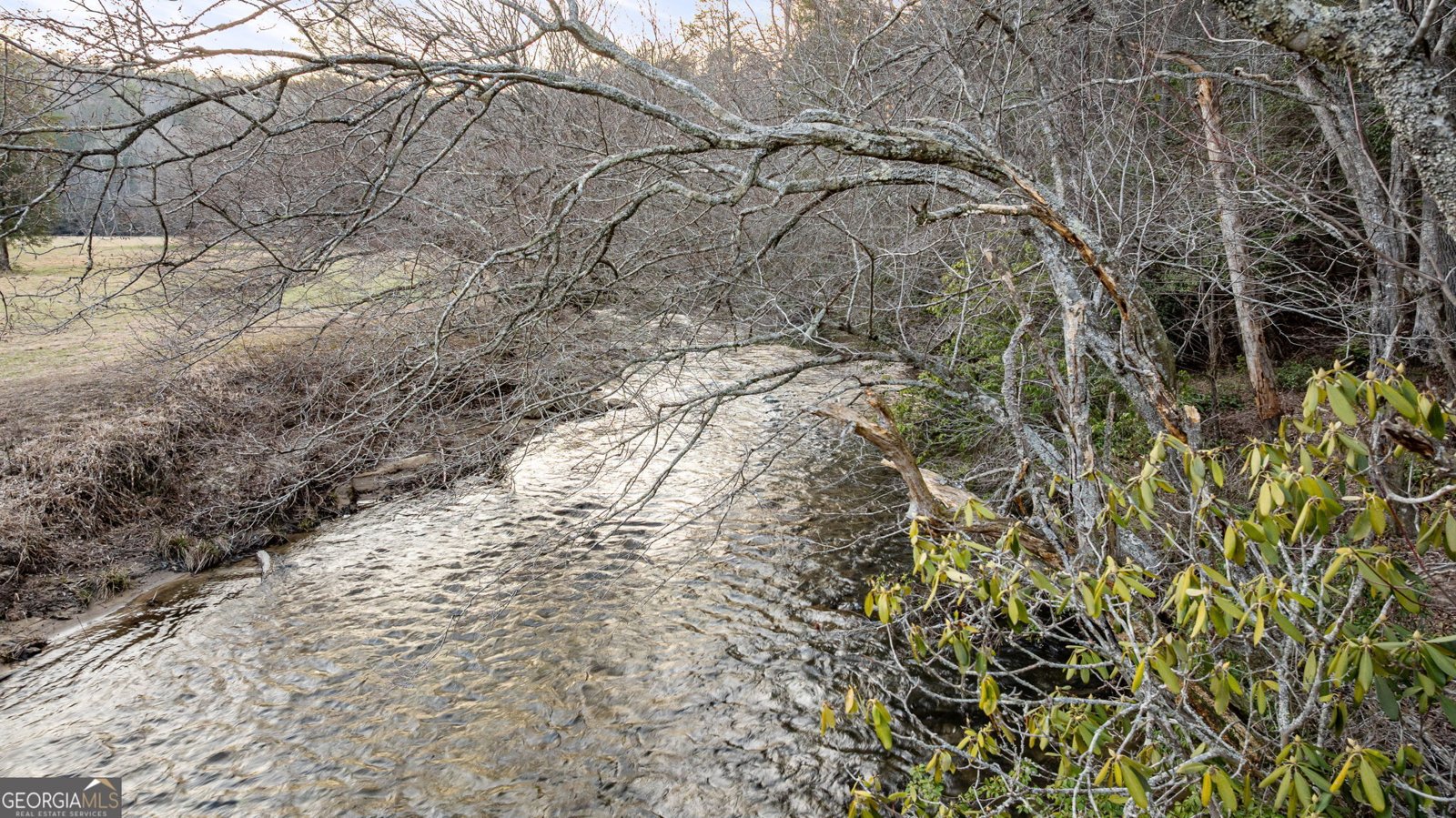 381 Trails End Blue Ridge - 69