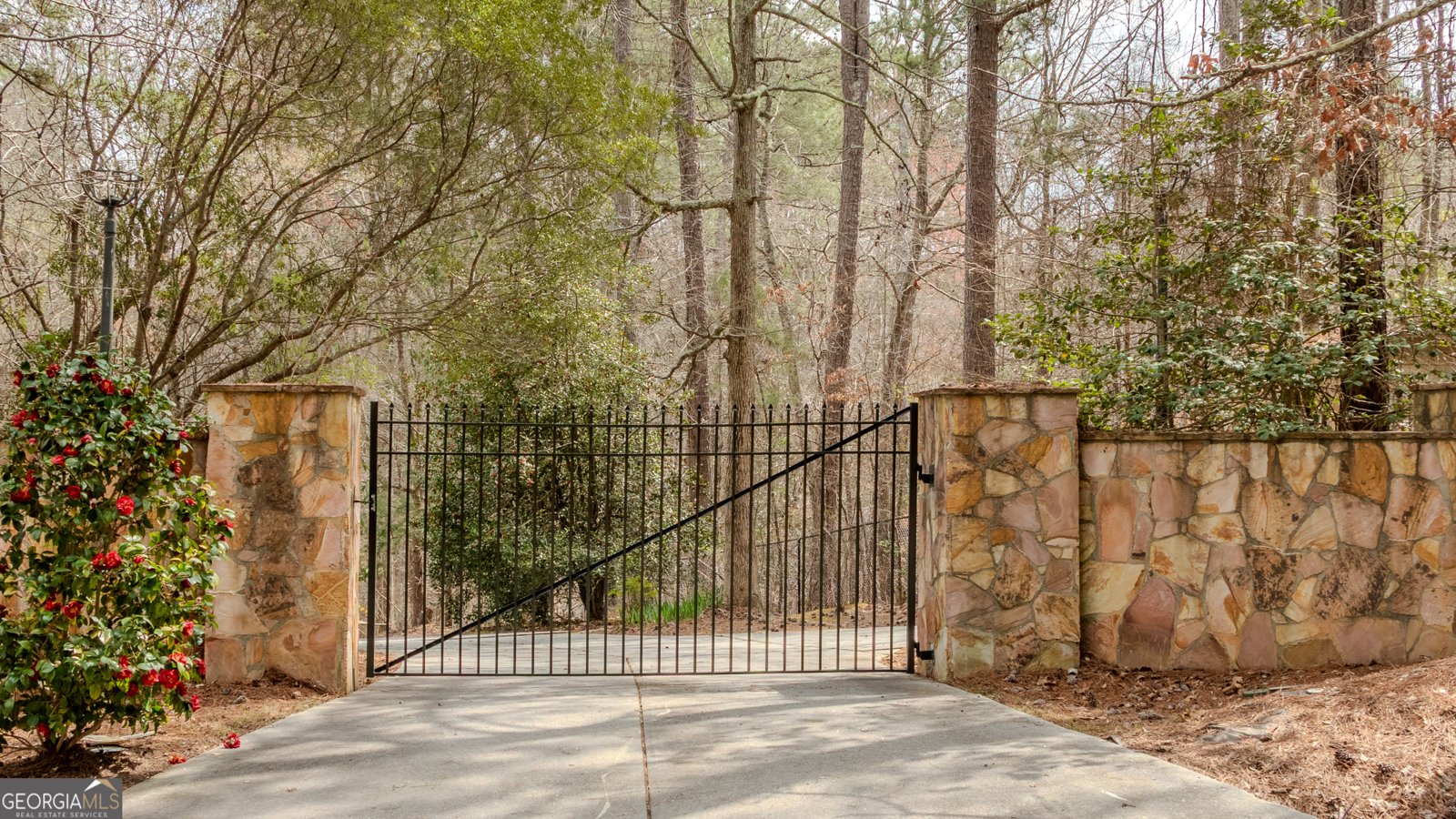 5150 Rockford Lane Stockbridge - 2