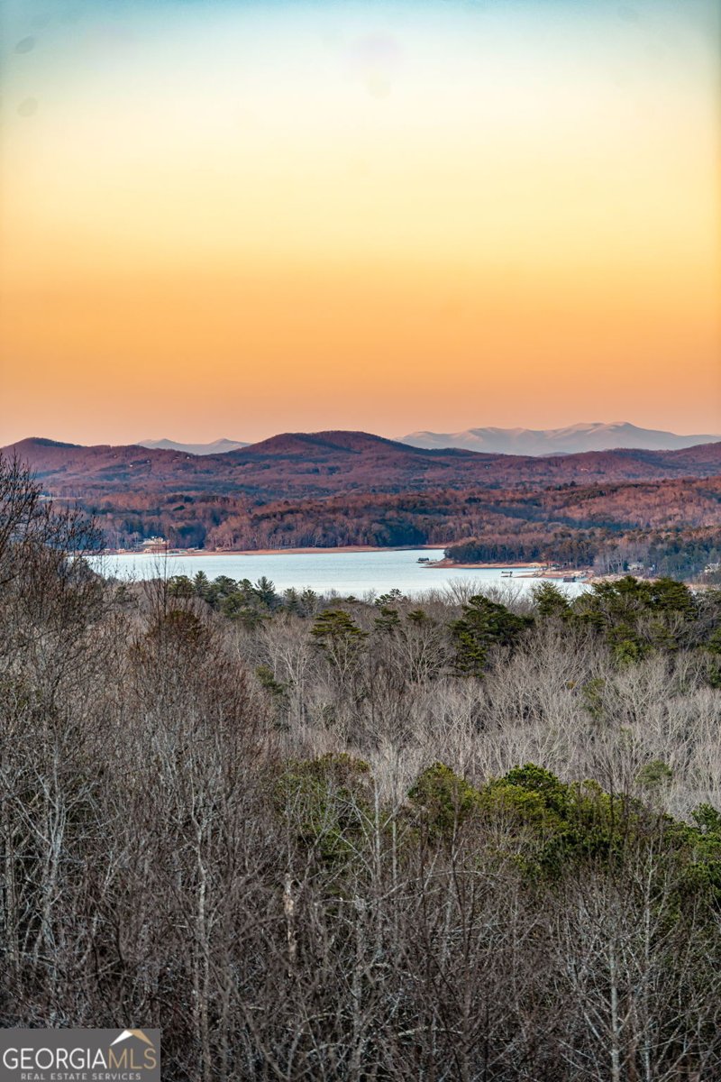 394 Snake Mountain Road Blue Ridge - 73