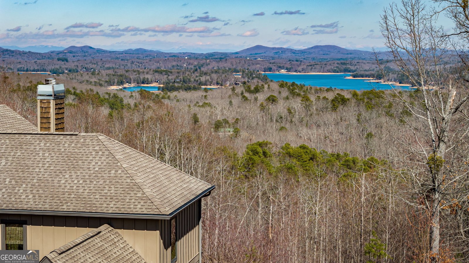 394 Snake Mountain Road Blue Ridge - 78