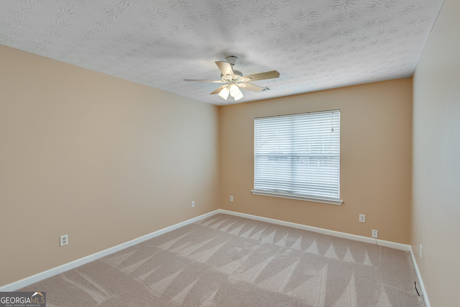 3024 Big Tree Road Gainesville - 17