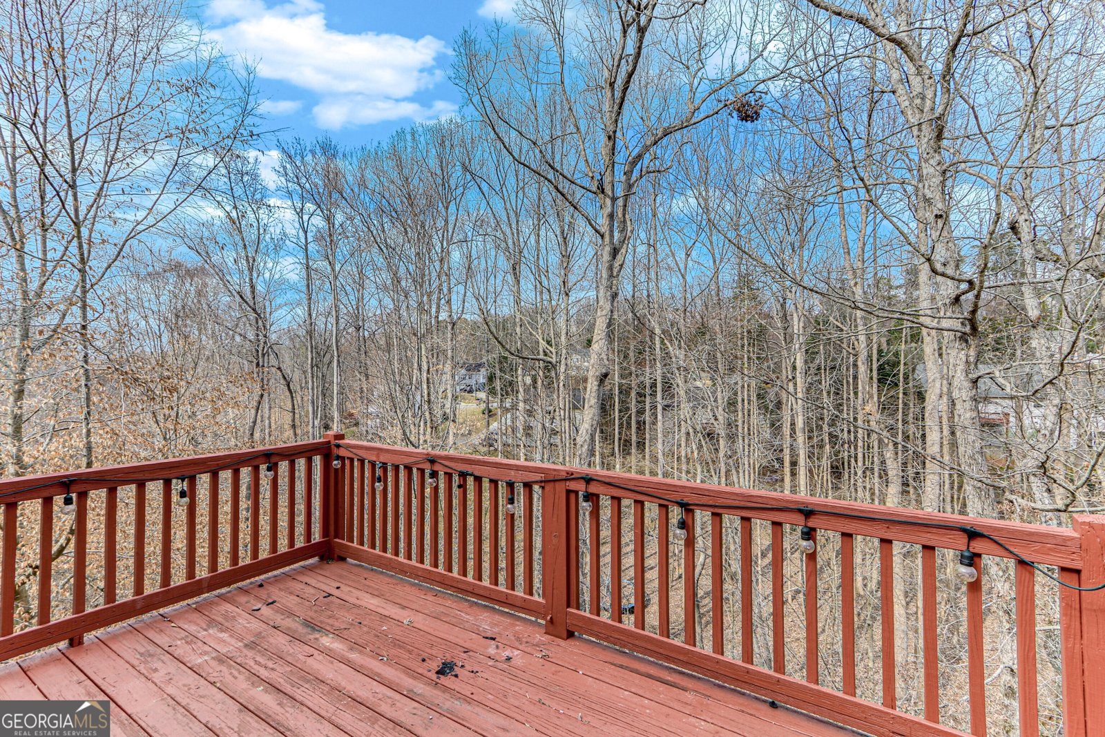 3024 Big Tree Road Gainesville - 4