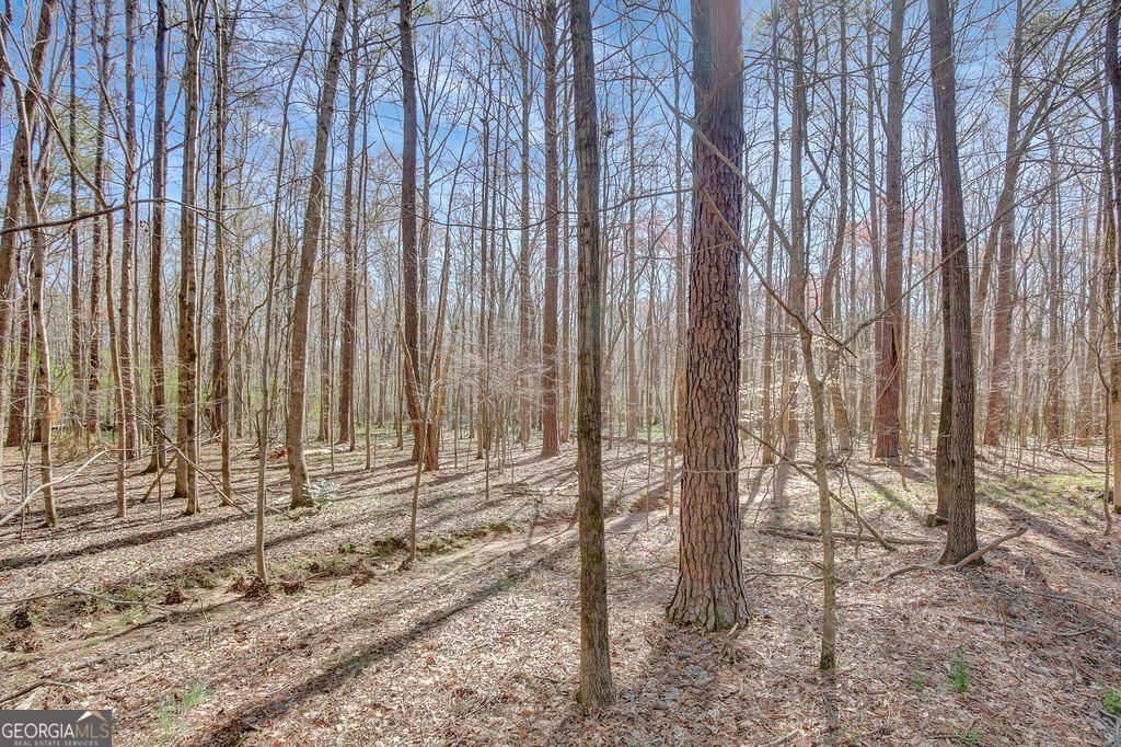 140 Rockglen Court Fayetteville - 7