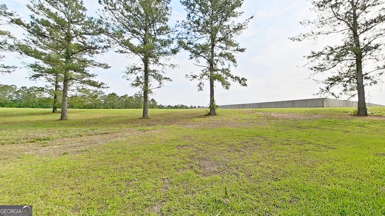 264 Woodridge Lane Cairo - Photo 65