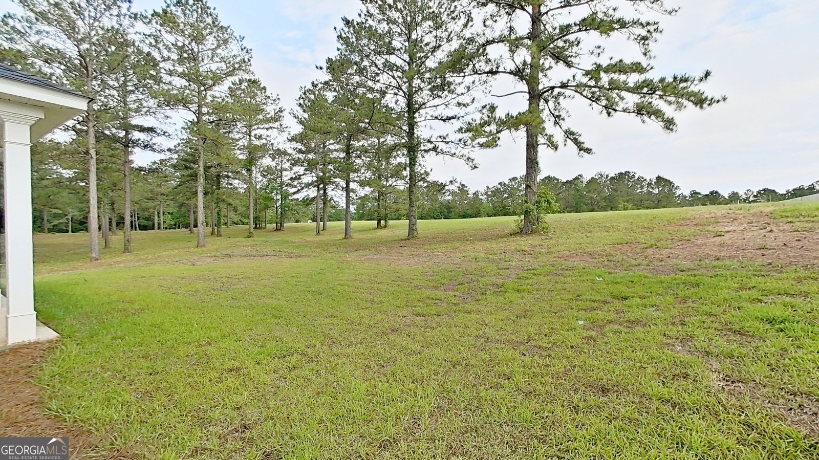 264 Woodridge Lane Cairo - Photo 69
