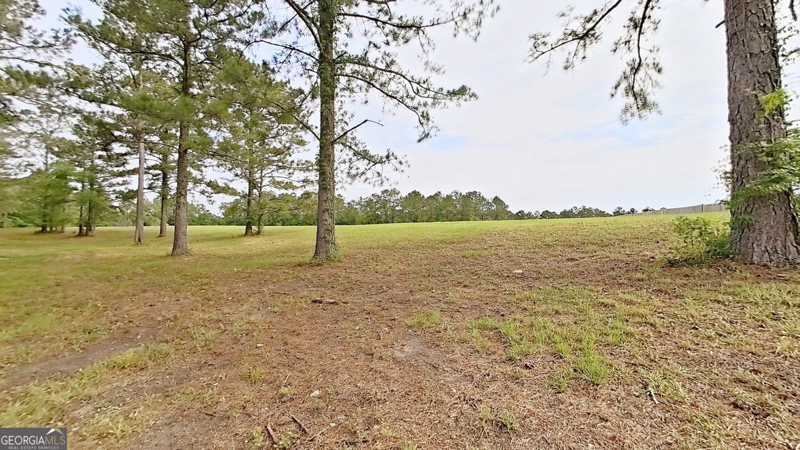 264 Woodridge Lane Cairo - Photo 76