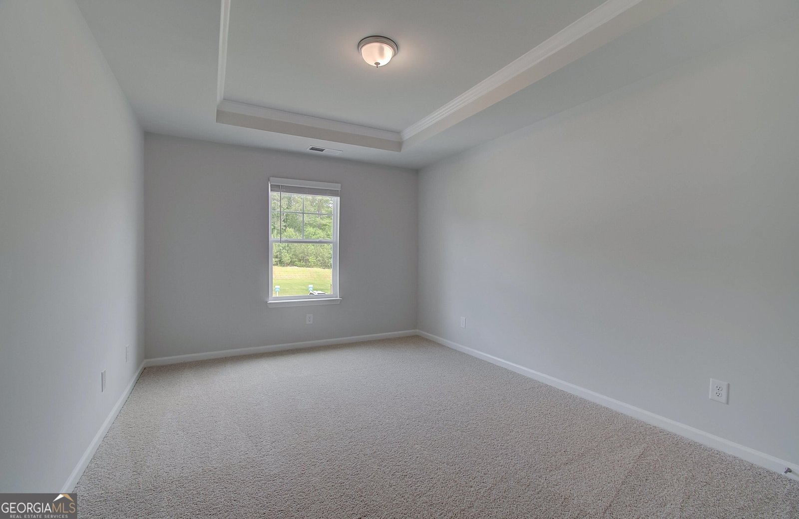 111 Felicity Pike Locust Grove - 24