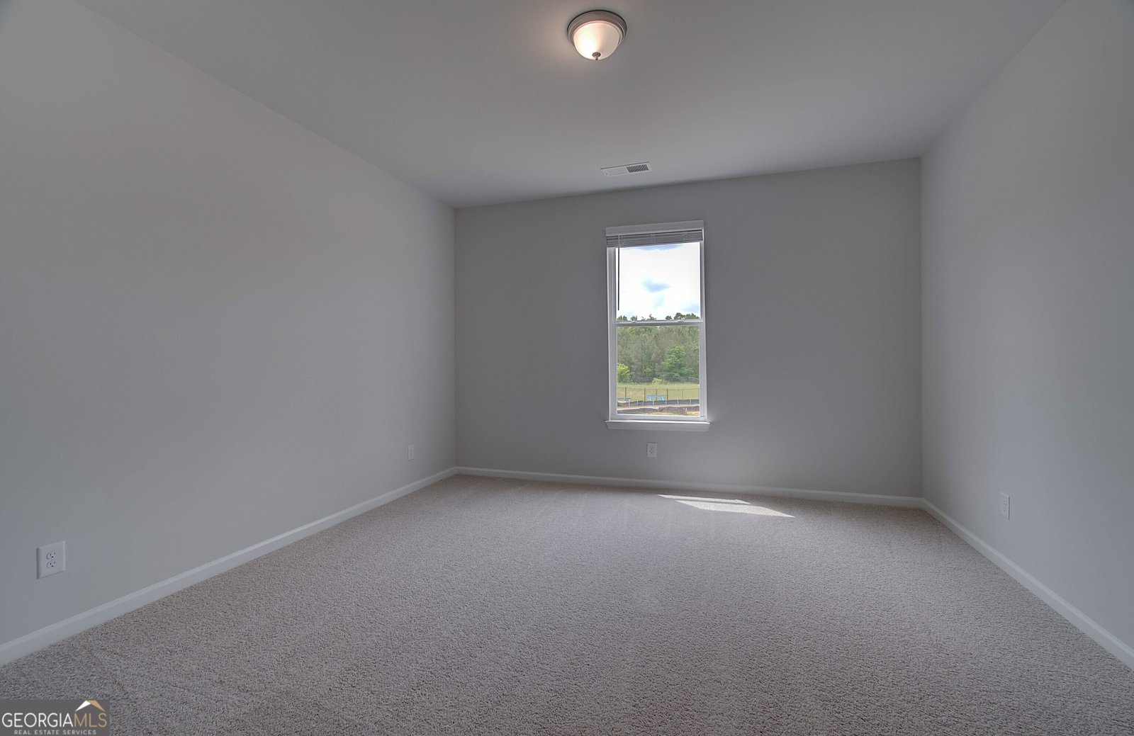 111 Felicity Pike Locust Grove - 9