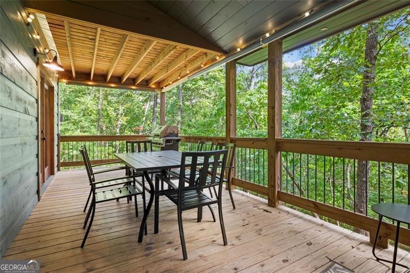 263 WINDY VALLEY Lane Blue Ridge - 17
