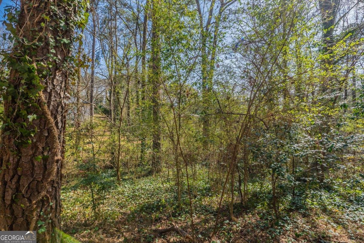 3651 Tulip Drive Decatur - 44