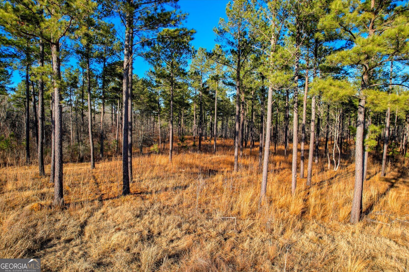 2164 Lincolnton Highway Elberton - 113