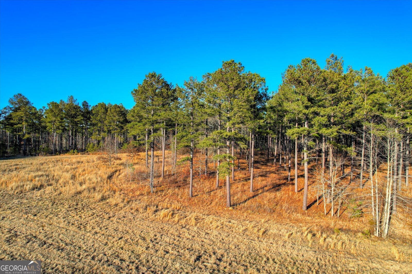 2164 Lincolnton Highway Elberton - 116
