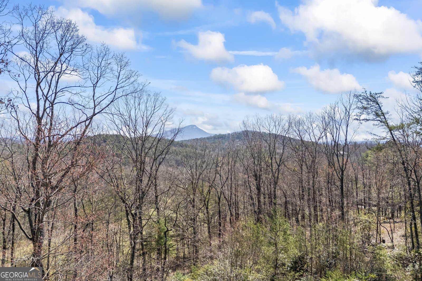 266 Slayton Gap Trail Cleveland - 8