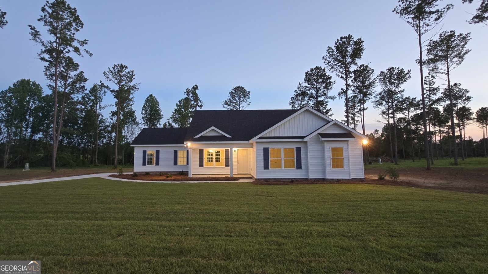 22154 Salem Church Road Metter - 5