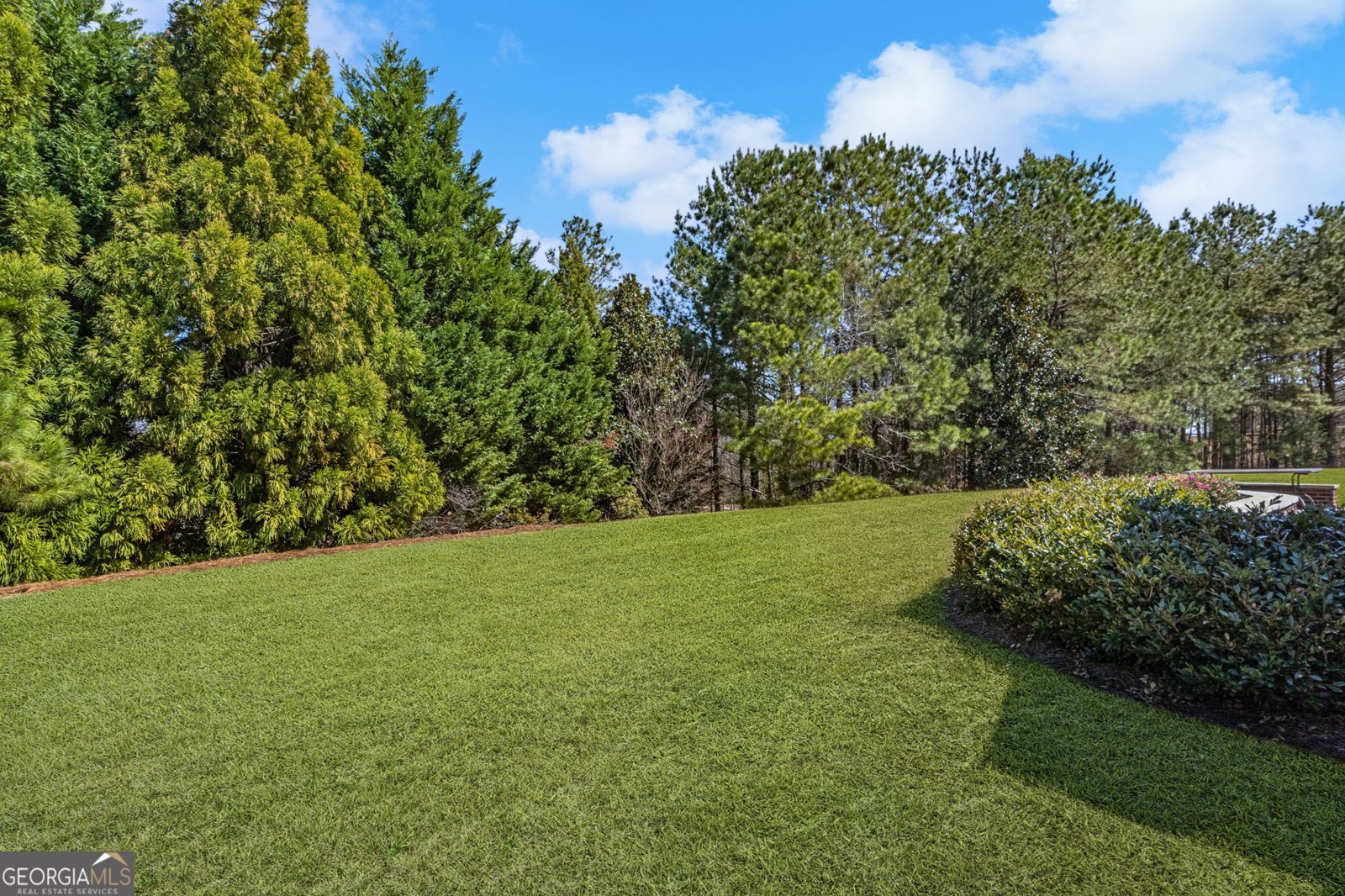 220 Begonia Court Griffin - 39