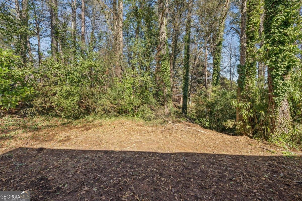 3563 Bolfair Drive Atlanta - 26