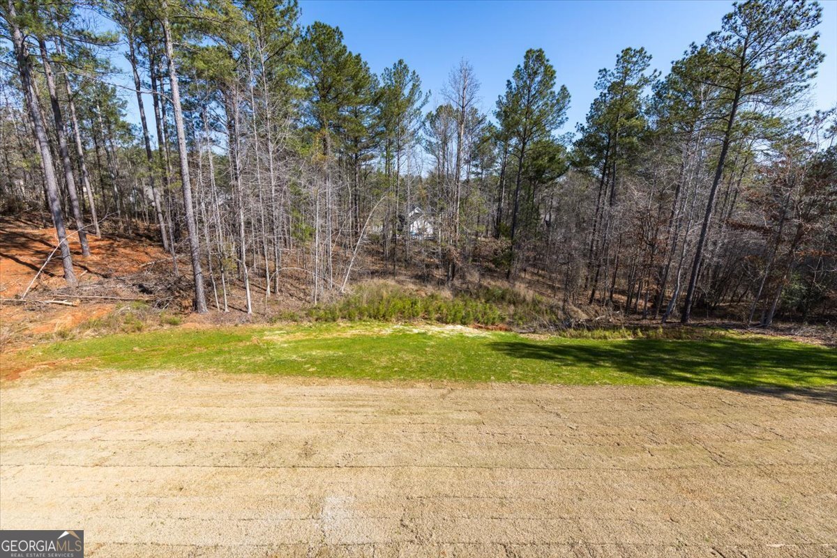 104 Piedmont Circle Forsyth - 32