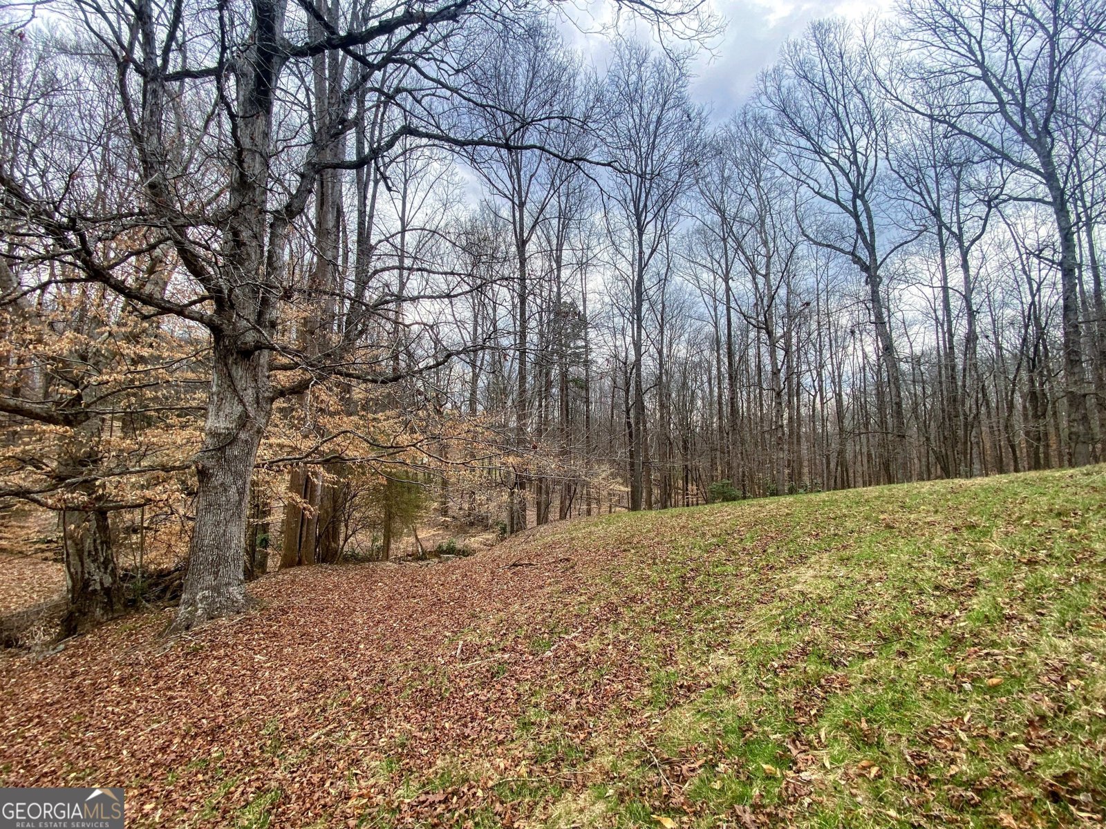3515 South Bend Road Gainesville - 78