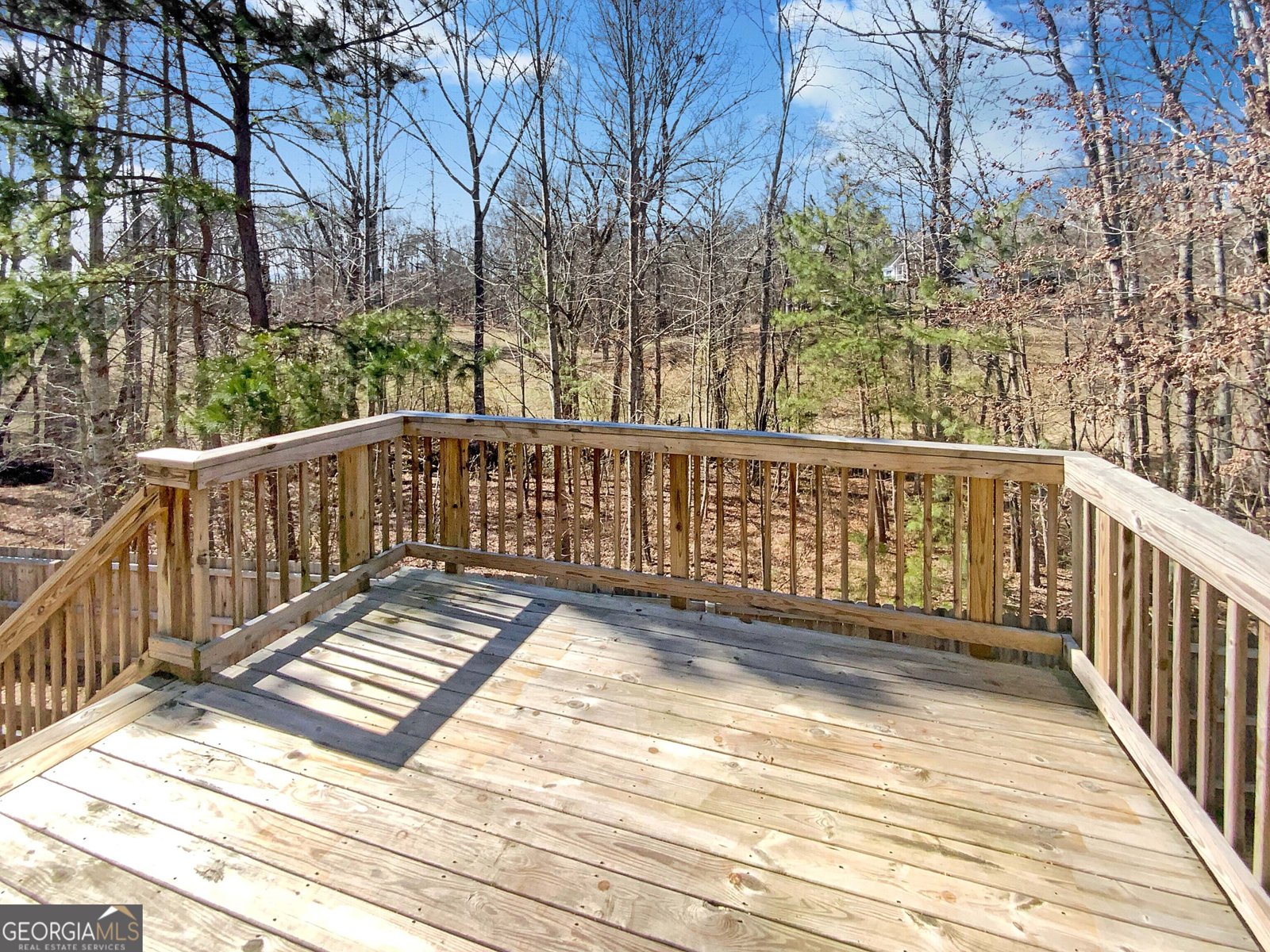 312 Crown Pointe Drive Dawsonville - 13
