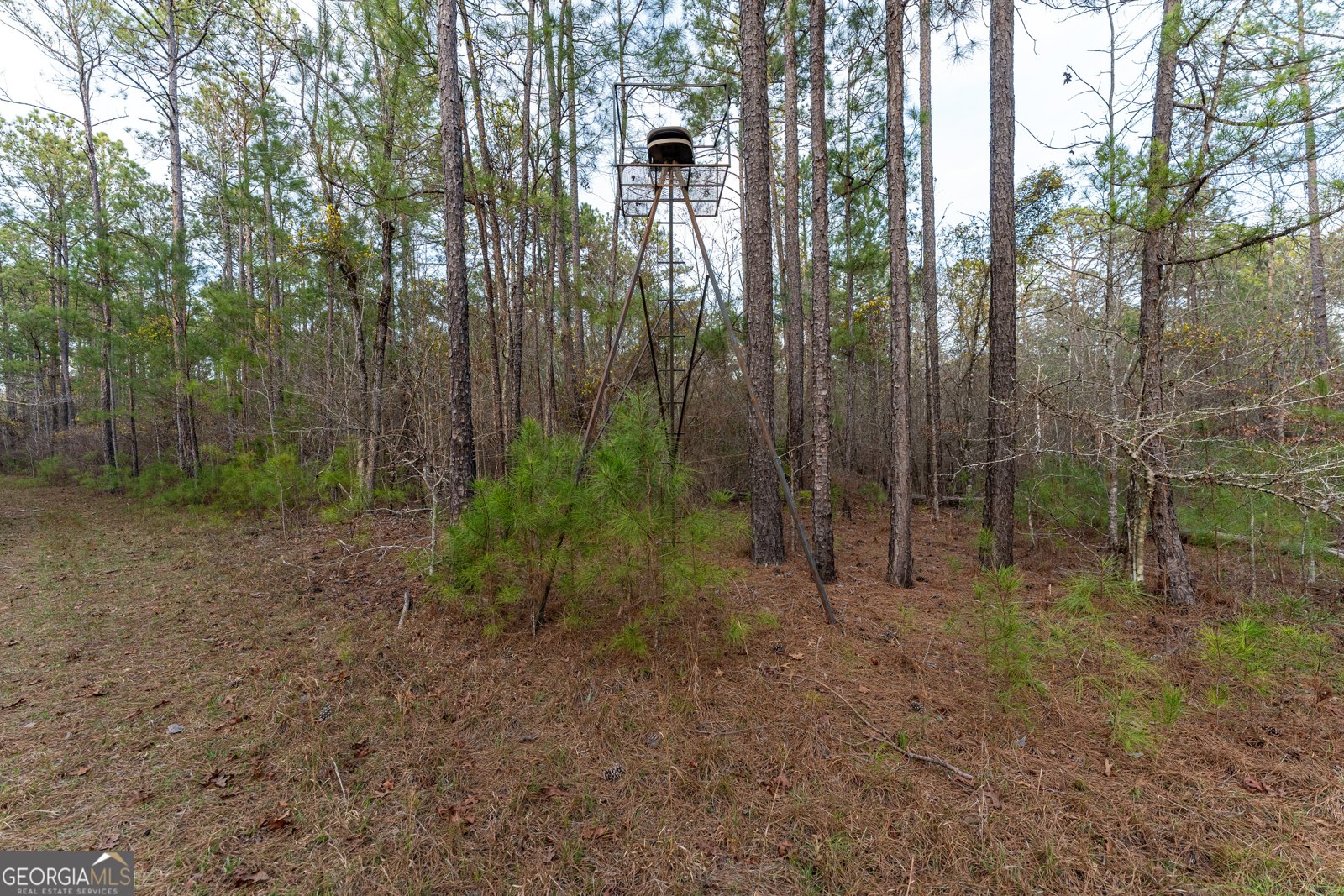385 Stembridge Road Milledgeville - 87