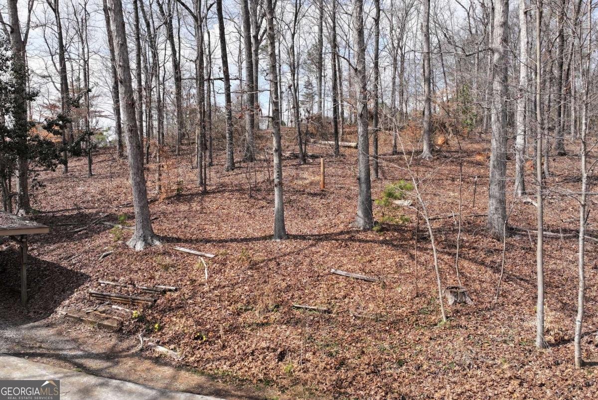 2986 Defoor Road Toccoa - 46