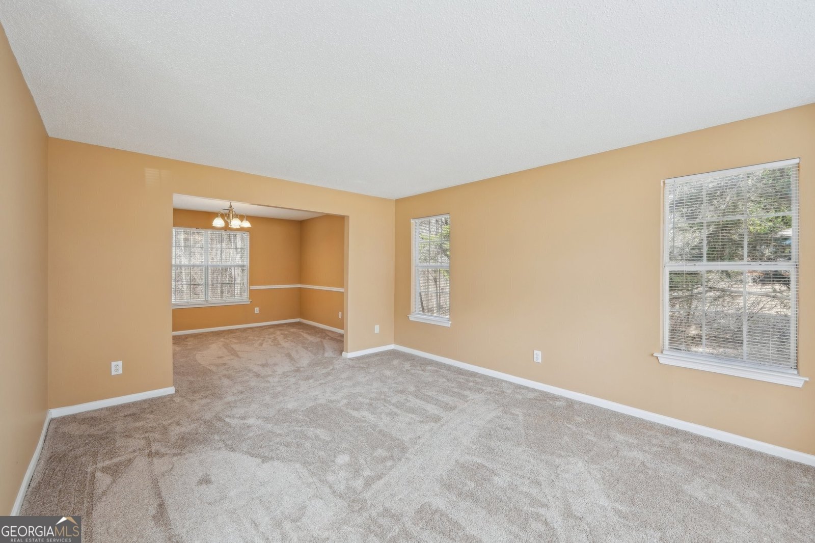 204 Eleanor Court Stockbridge - 20