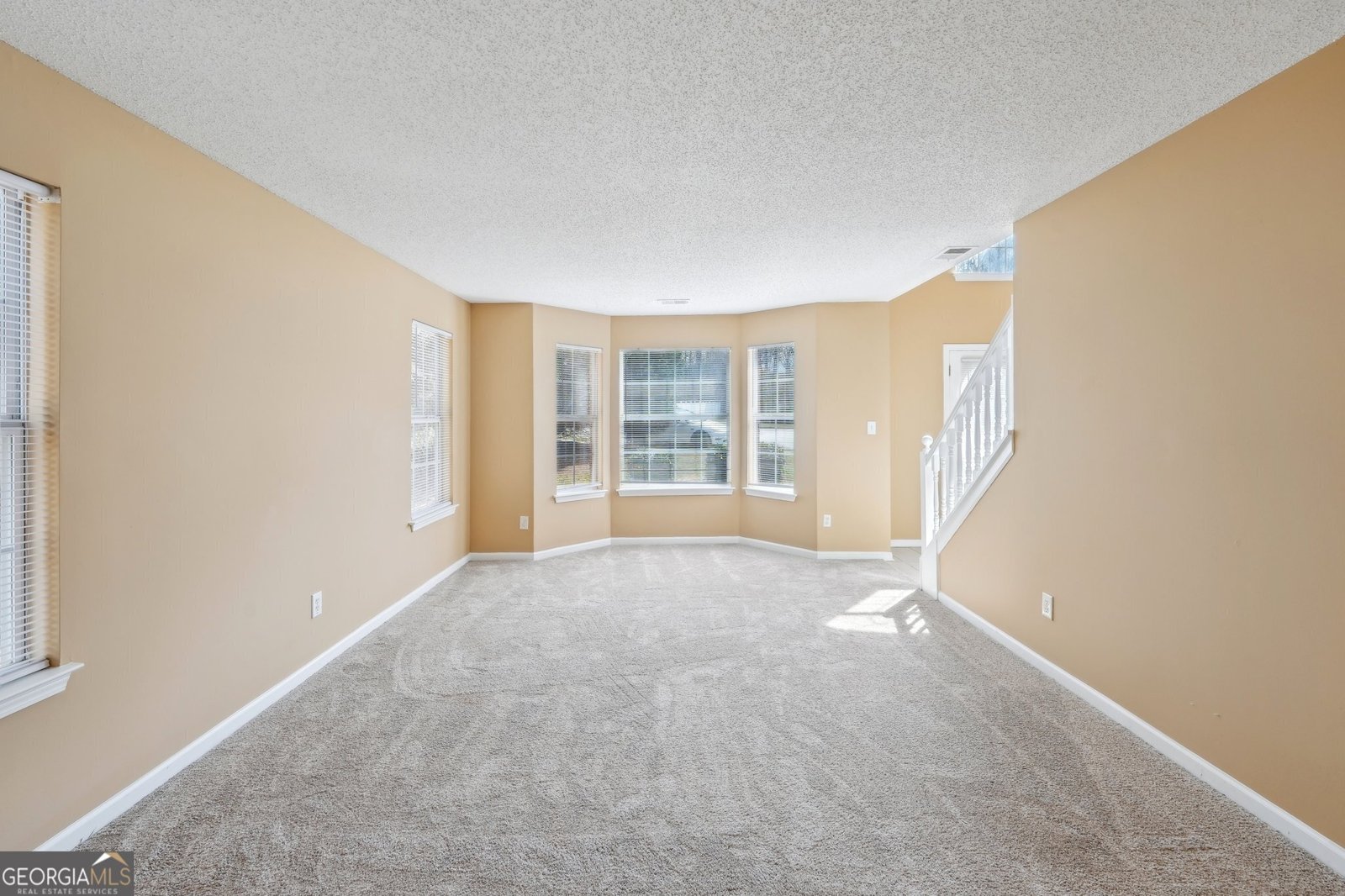 204 Eleanor Court Stockbridge - 22