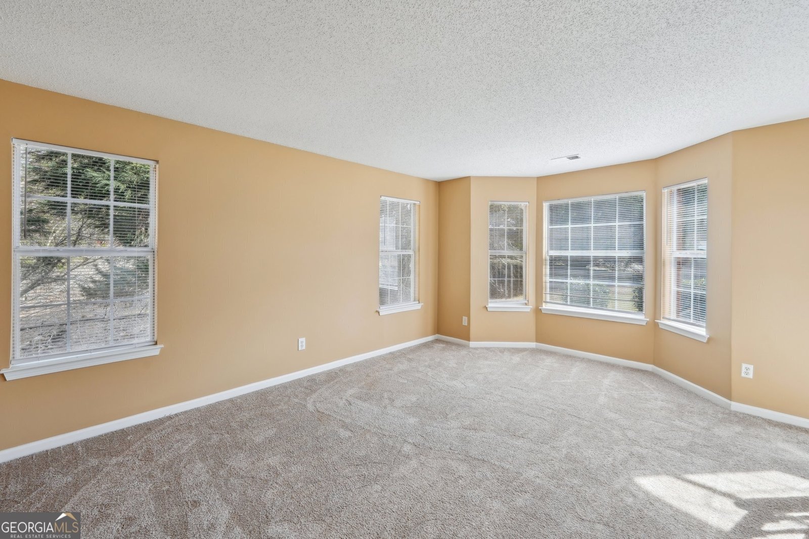 204 Eleanor Court Stockbridge - 23