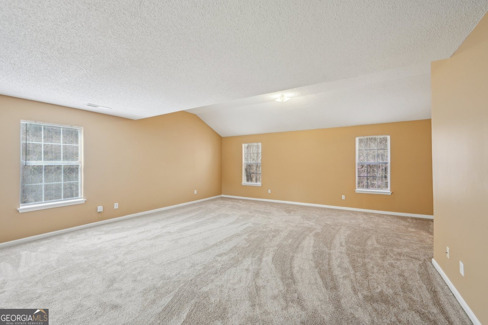 204 Eleanor Court Stockbridge - 45