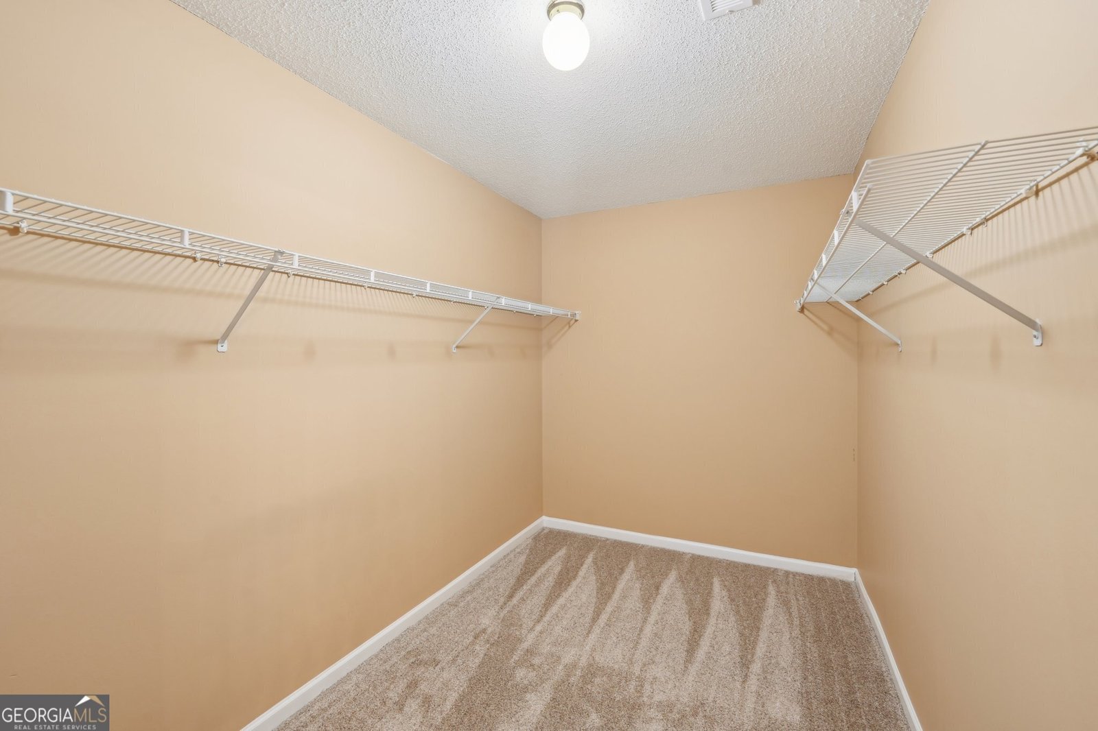 204 Eleanor Court Stockbridge - 50