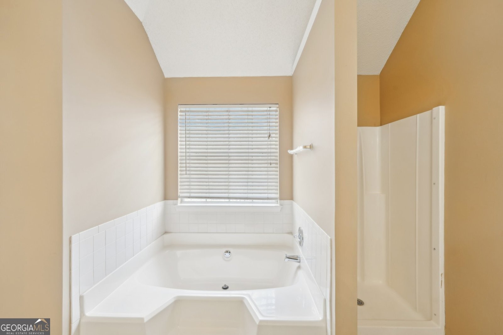 204 Eleanor Court Stockbridge - 52