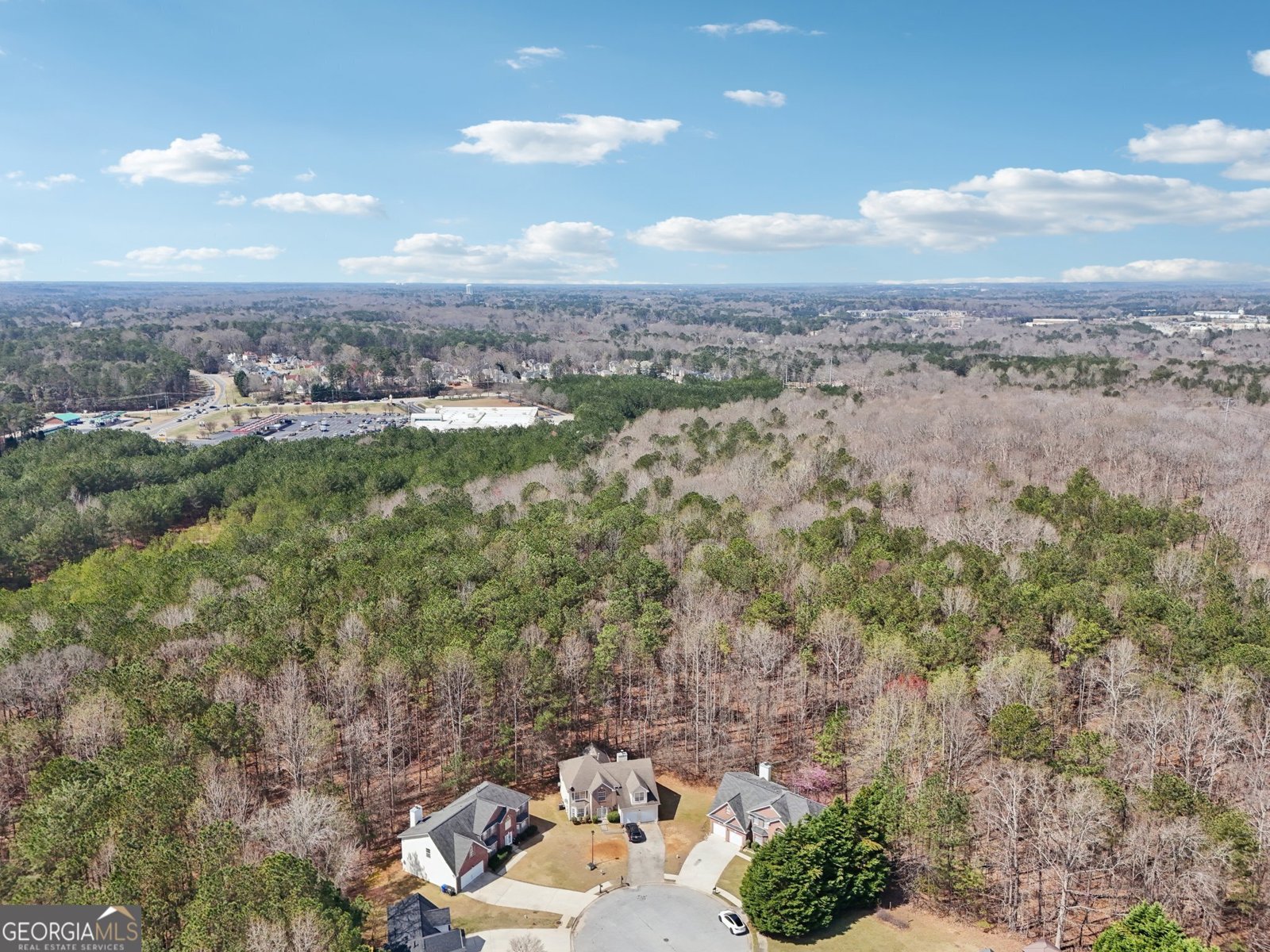 204 Eleanor Court Stockbridge - 60